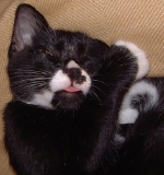 DSCF0012.jpg